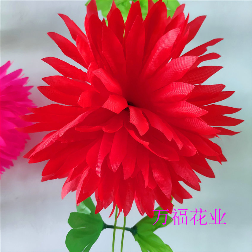 新建文件夹 (2)IMG_20200515_141412.j