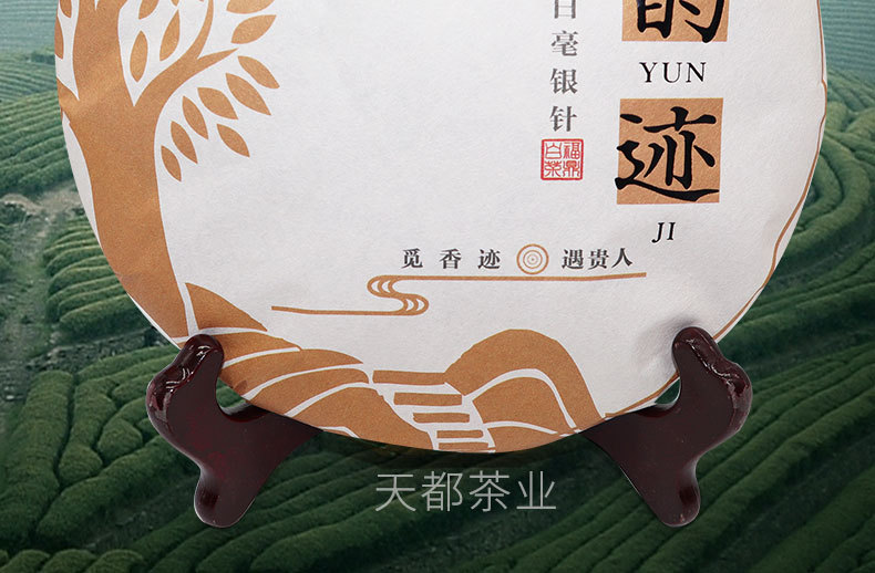 2020年银针饼_03.jpg