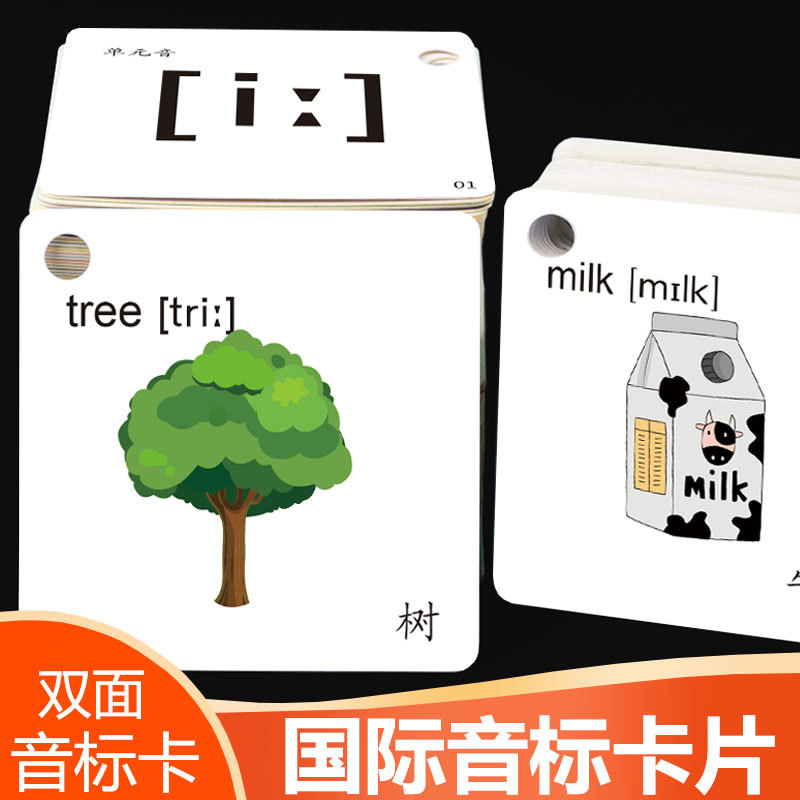 新版英语国际音标卡片 英文单词卡片 48张音标卡教具幼儿音标卡片|ms