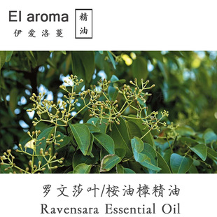 �R�_��˹��Ұ���_��ɯ�~���� Ravensara�������η����� 10ML��ӆ