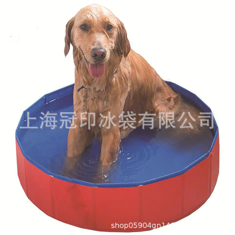 宠物游泳池10