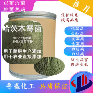 ����ľù�����������ù���������׷�΢�����ȫˮ�ܾGɫ����ľù