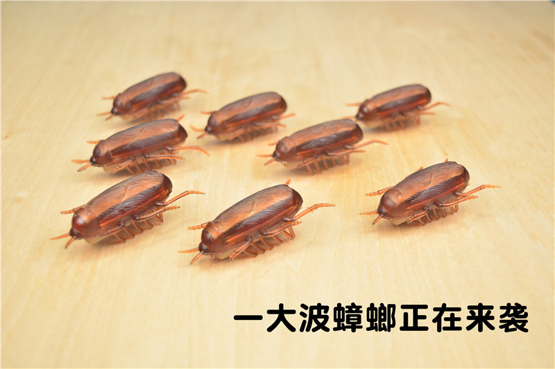 DSC_0592_副本.jpg