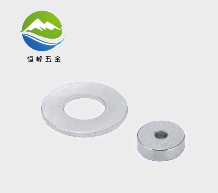 环形磁铁 BLS41-D6/D8/D10-V2/V3/V4/V5/V6-T1/T2/T3/T5