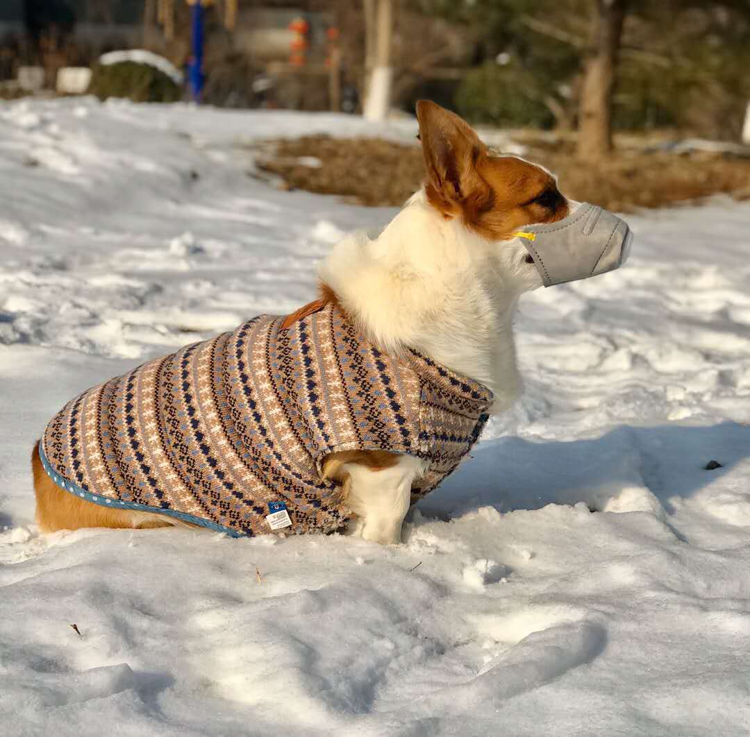 ab0ddf2ae8cc67f237ea7b99dfce03