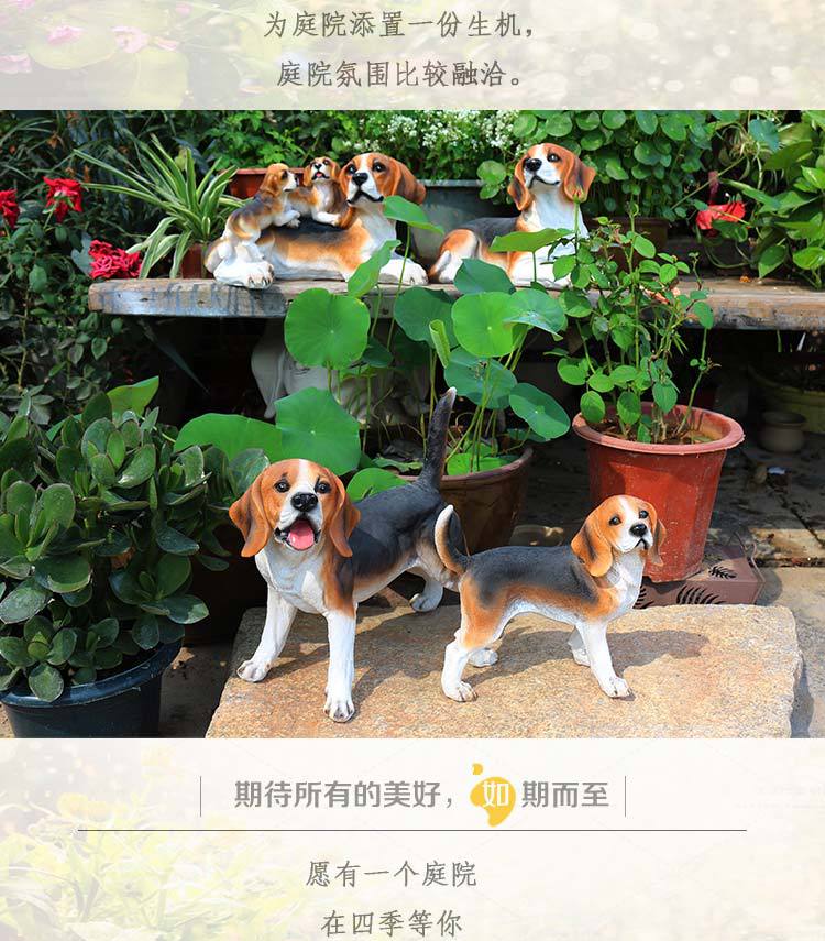 比格犬_02.jpg