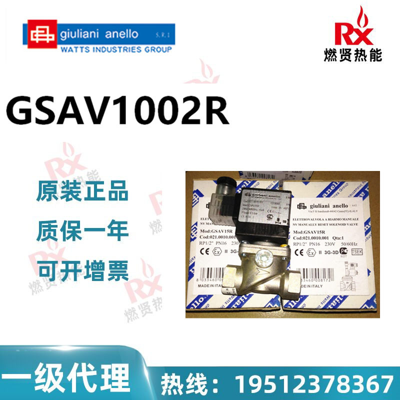 GSAV1002R -wang