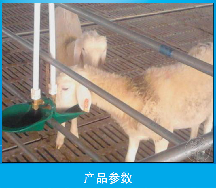羊饮水碗AA详情页(3).jpg