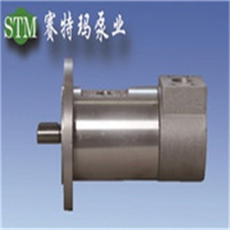 GR55SMT380L主油箱润滑泵