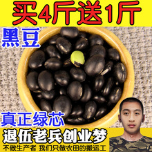 黑豆500g东北乌皮青仁绿心小黑豆 农家自产黑小豆五谷杂粮批发