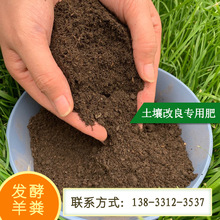 發酵羊糞肥料批發高溫腐熟羊糞有機肥大棚蔬菜土壤改良精致有機肥