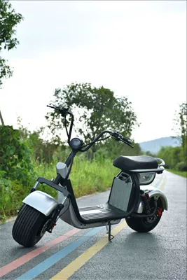 Men's and Women's New Battery – Elektrikli motosikletlər