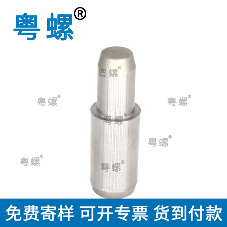  工厂 平头定位销 不锈钢实心圆柱定位销平头定位销可来图定制