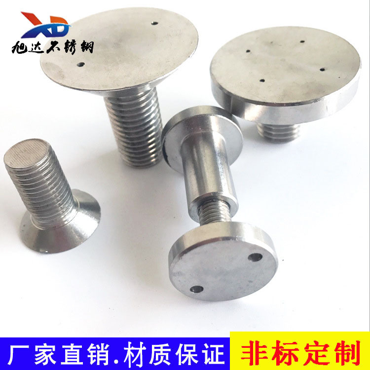 厂家供应304不锈钢猪鼻子螺栓打孔幕墙广告钉螺丝按非 标 定 制