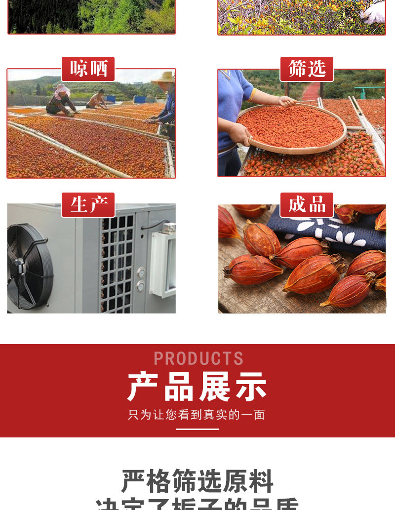 Shan Zhi Zi Tea (Gardenia jasminoides) — Dried Gardenia Fruit for Herbal Tea & Daily Wellness in use