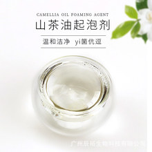 山茶油抗箘起泡剂 温和洁净泡沫绵密 滋养头皮 柔顺秀发