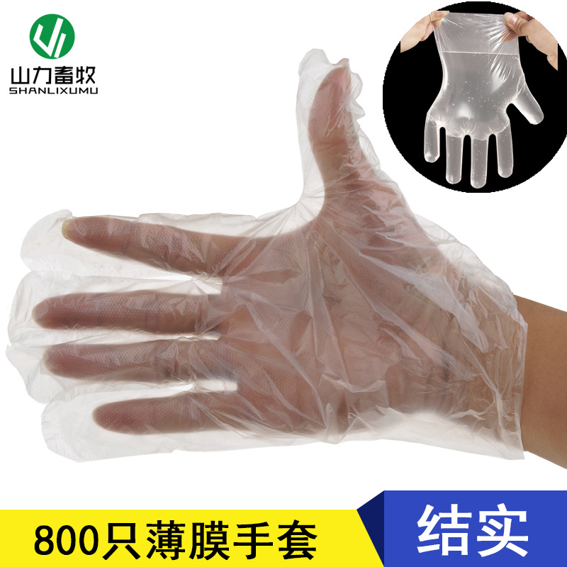 一次性 人工授精手套 采精手套 薄膜手套 PE手套 (一小盒800只)