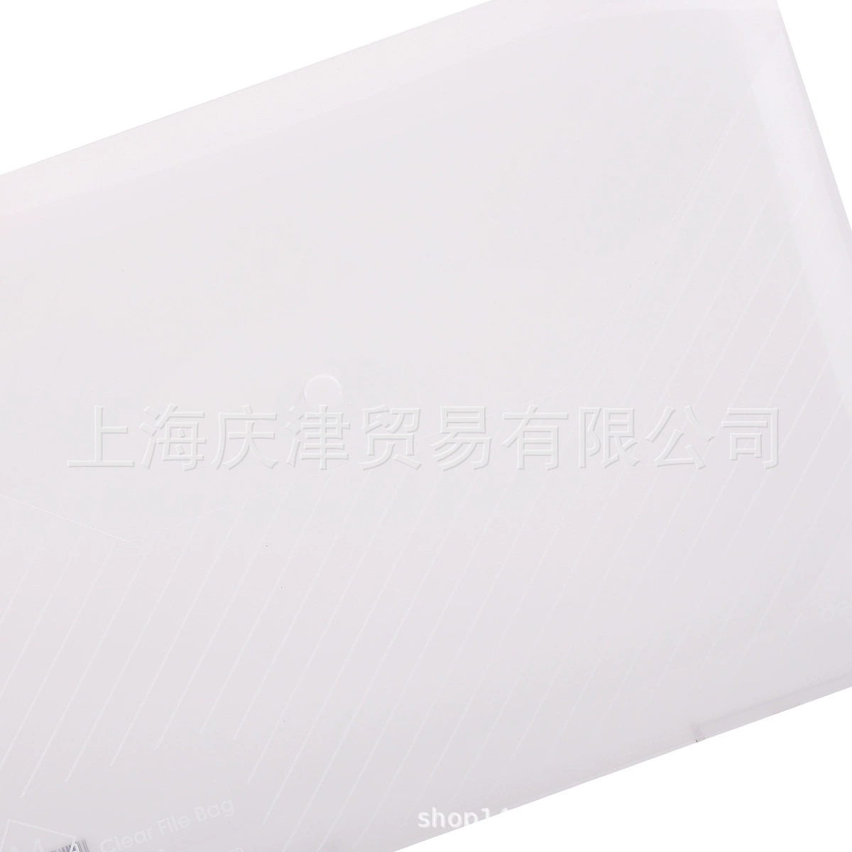 Deli 5501 file bag