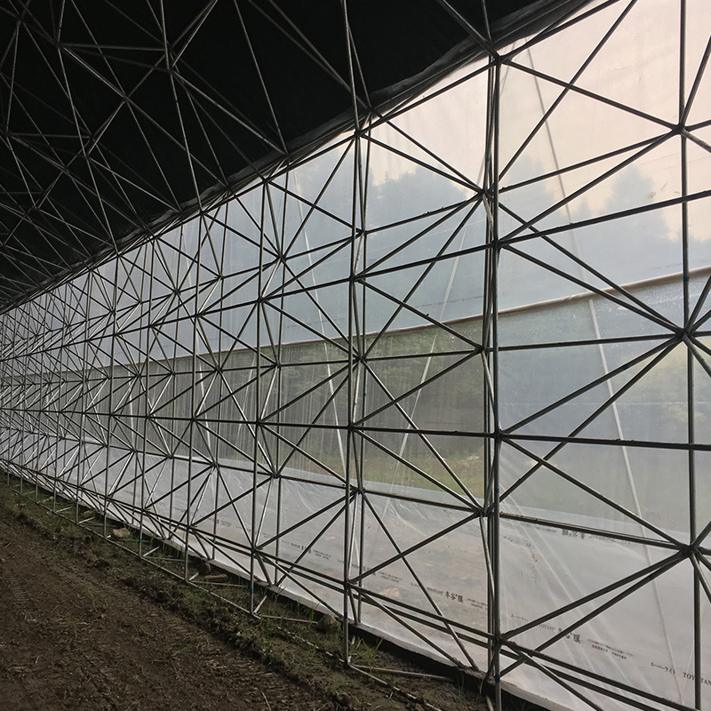 安装销售鸟巢温室大棚  镀锌钢材骨架温室大棚 可定尺包工包料