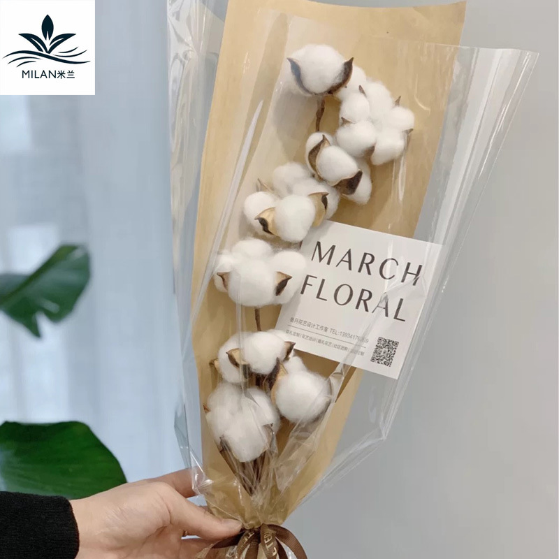 Flor seca algodón DIY kapok hecho a mano algodón flor permanente ramo de la cabeza de algodón material de embalaje Accesorios Al Por Mayor
