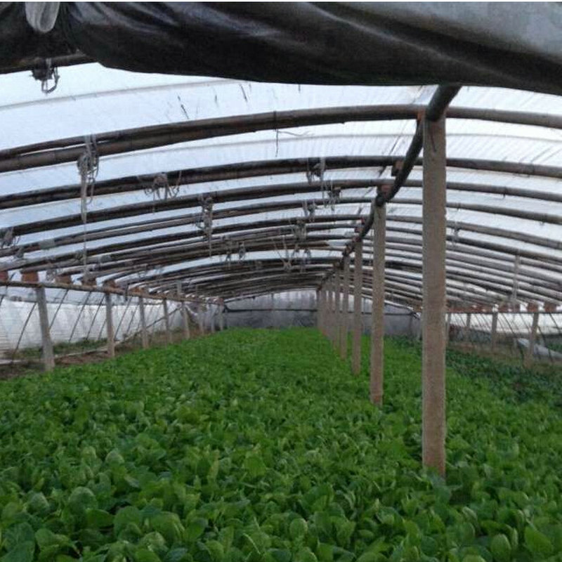 Fábrica al por mayor de cría especial de polietileno de alta presión de flujo de longevidad caída de alta temperatura película de 2 m de ancho a 20 m de ancho