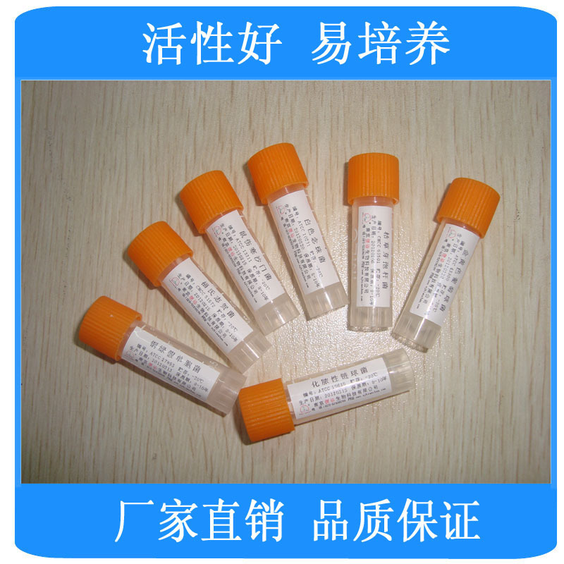 1000ml念珠菌显色培养基 等国产显色培养基干粉