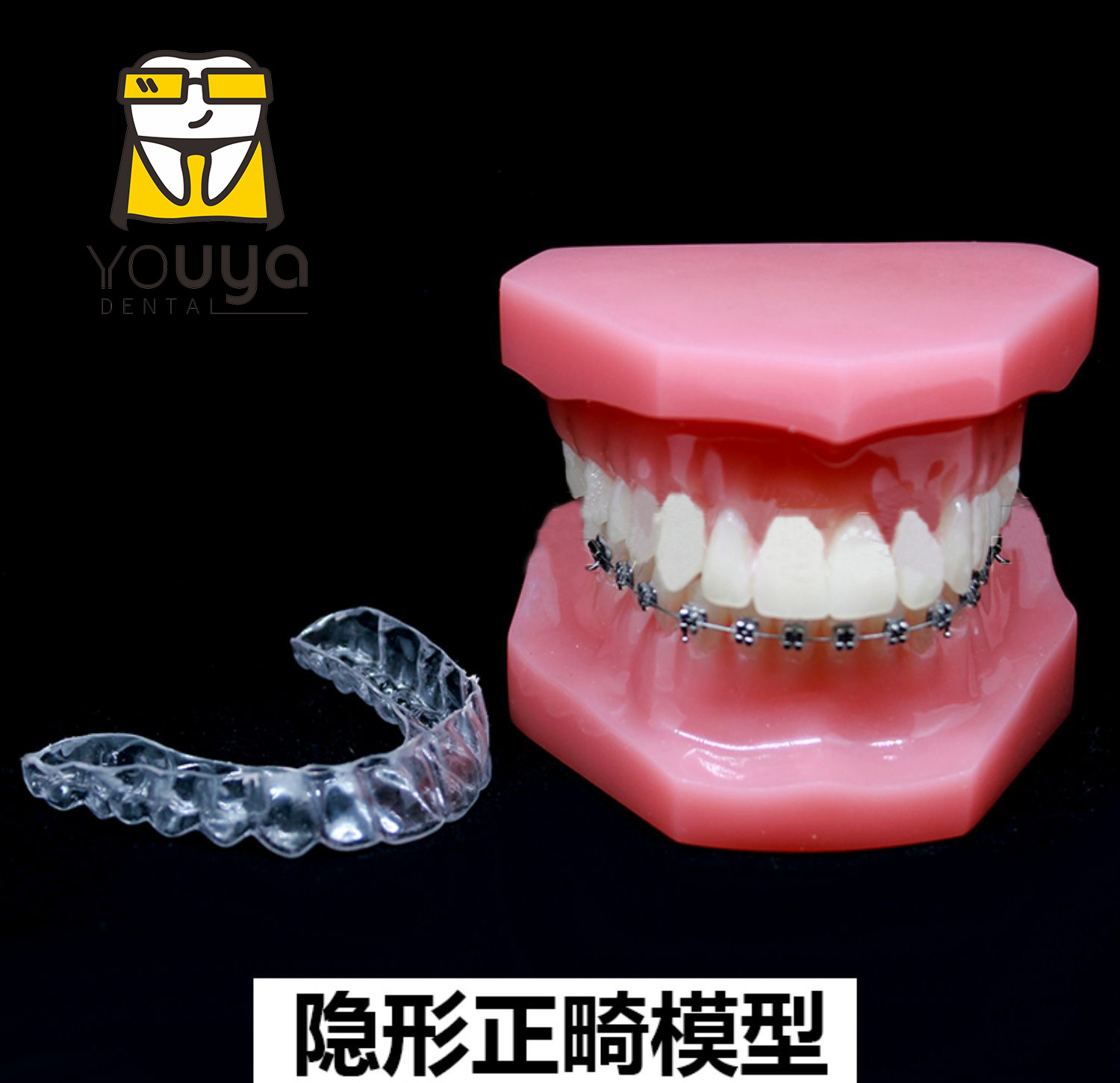 隱形正畸模型 牙齒模型牙齒矯正牙科模型 口腔教學模型 牙模型