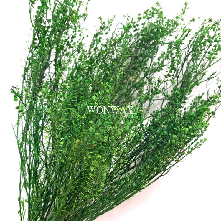 微信图片_20200224124824_副本