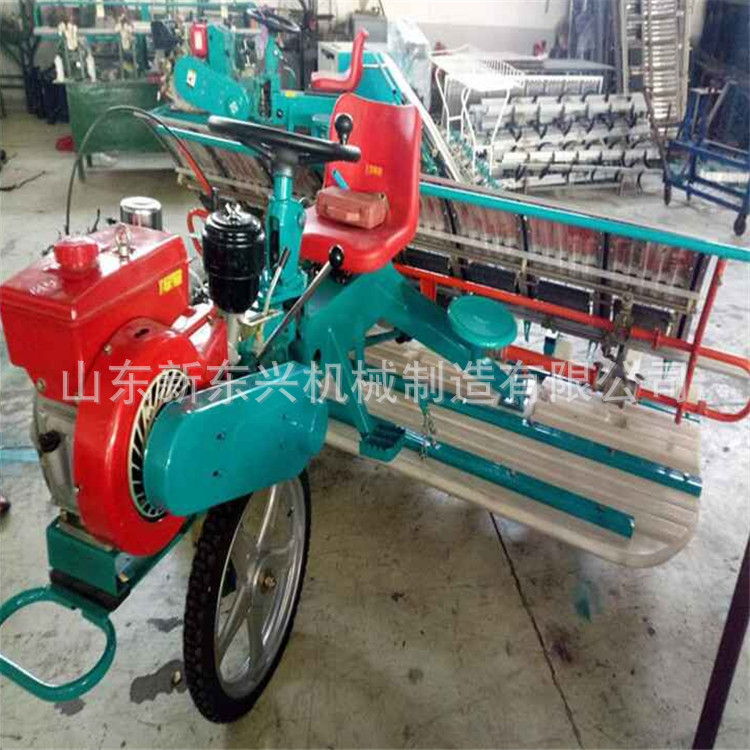 小型农田插秧机 稻子秧苗移栽机 多功能水稻秧苗种植机