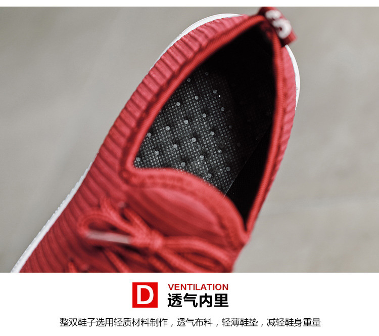 21210454194_636312924