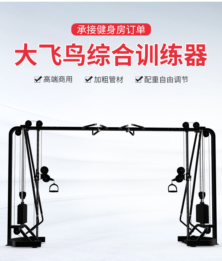 商用大飞鸟龙门架训练器多功能夹胸综合健身器健身房力量运动器材-阿里巴巴