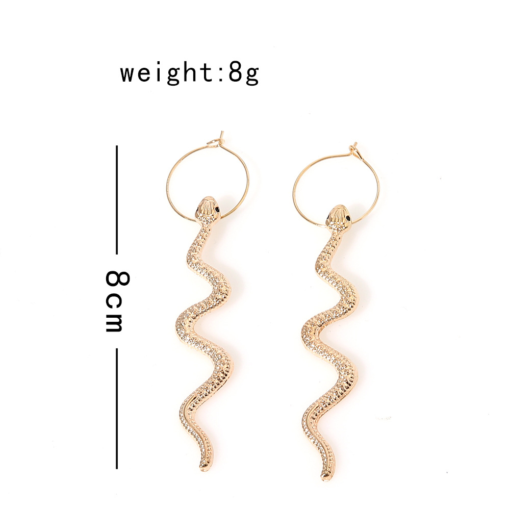 Retro Snake-shaped Long Earrings Wholesale Nihaojewelry display picture 23