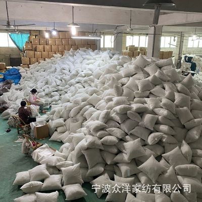 浙江家纺定制抱枕芯 纤维枕芯 靠垫芯 长方形腰枕靠背芯|ru