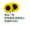 Wholesale Hi Sugar Box Flower Pack to sunflower paper, paper box and paper bag for sun flowers