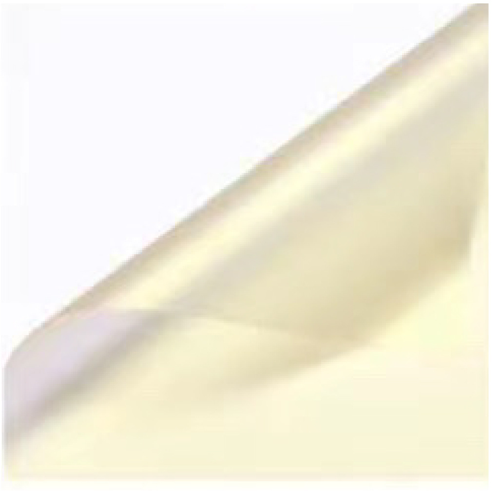 캔디 컬러*58*58cm