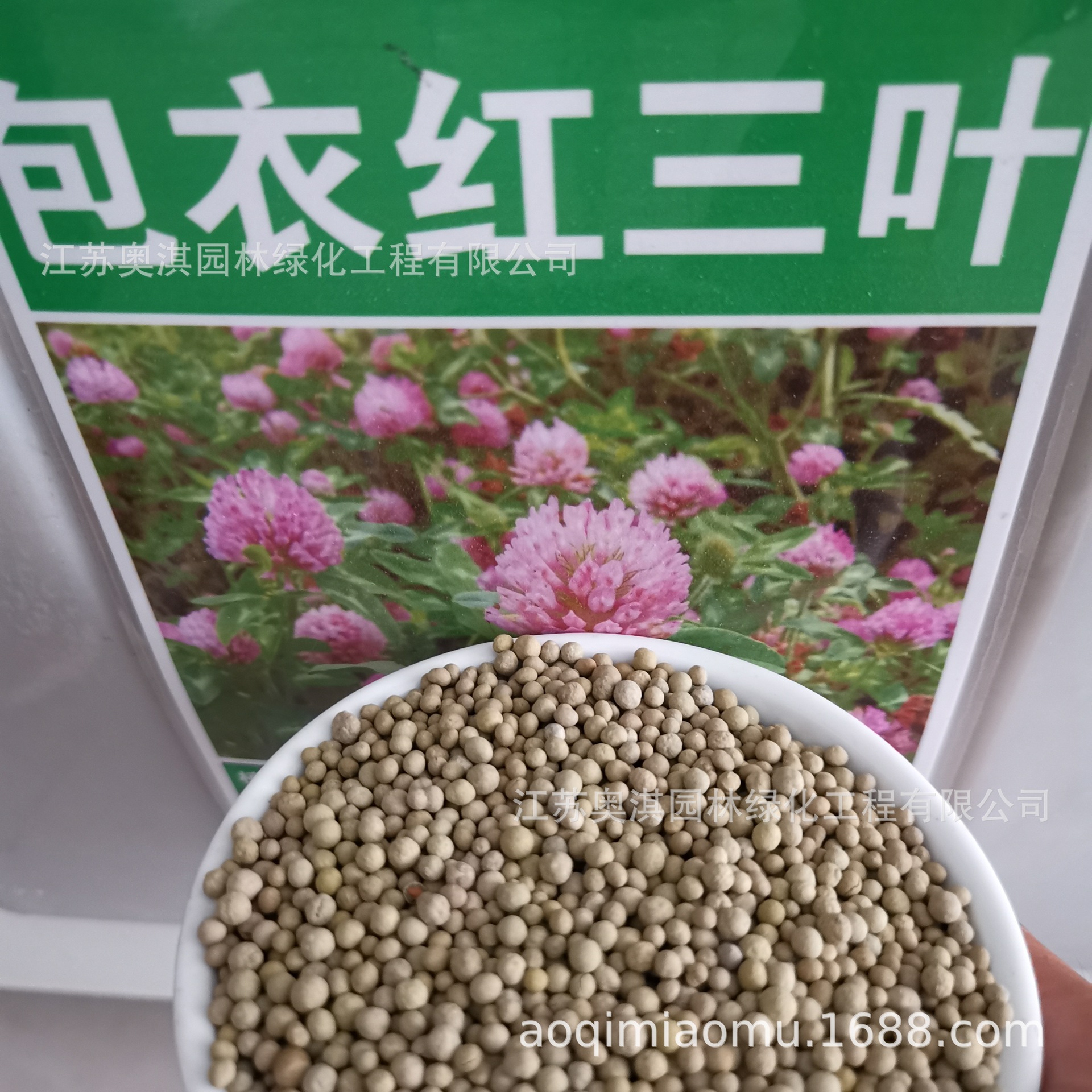 红三叶种子易种三叶草种子红花苜蓿红车轴草品质好发芽率高可试种-阿里巴巴