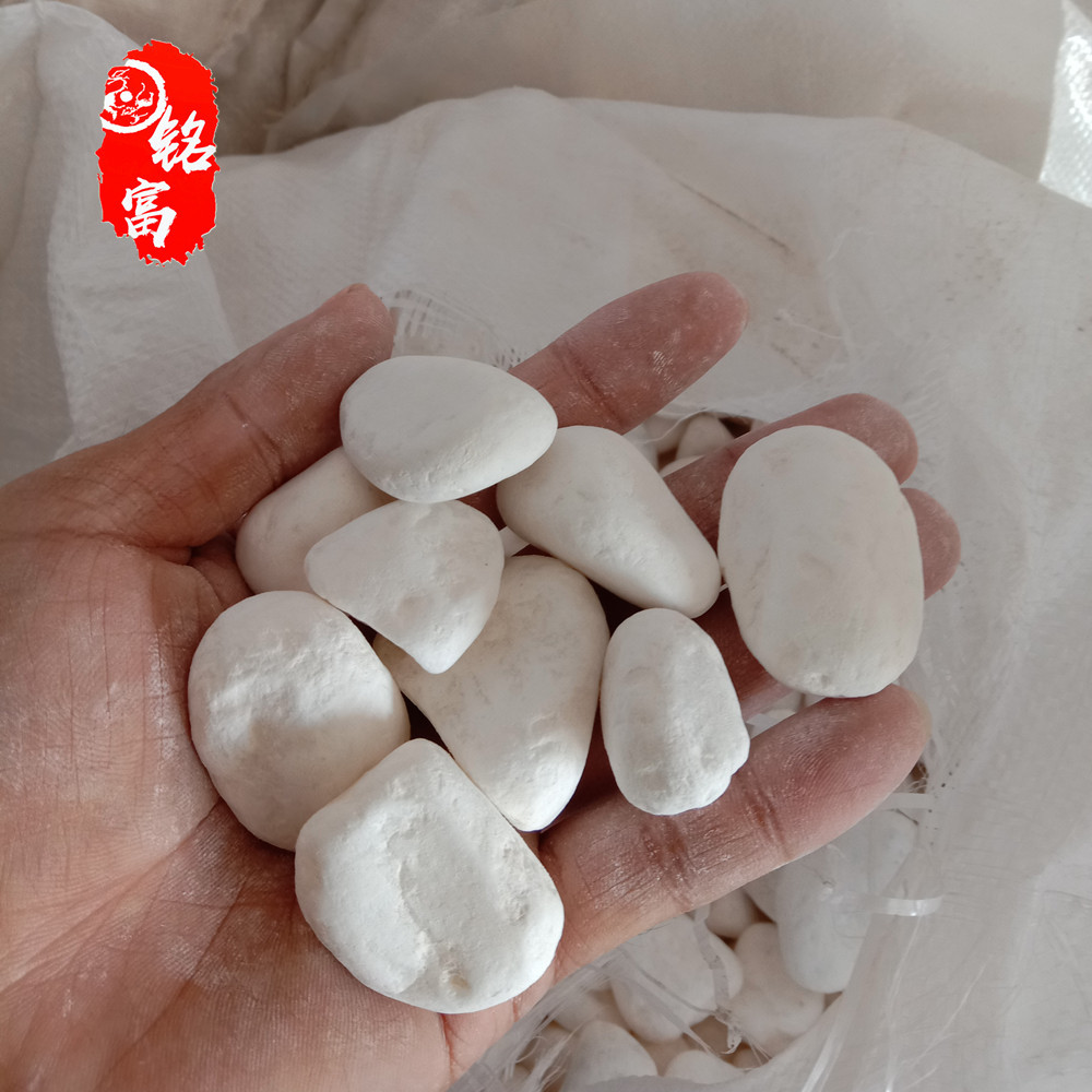 白色鹅卵石图片 鹅卵石是什么石头 白色鹅卵石价格 广东雨花石
