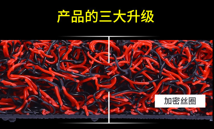 11987255766_24472082_03