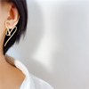 Earrings, fashionable silver needle, internet celebrity, light luxury style