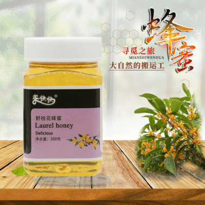 Manufactor source Bee Farm Native fresh Osmanthus honey 500g Wholesale of soil honey