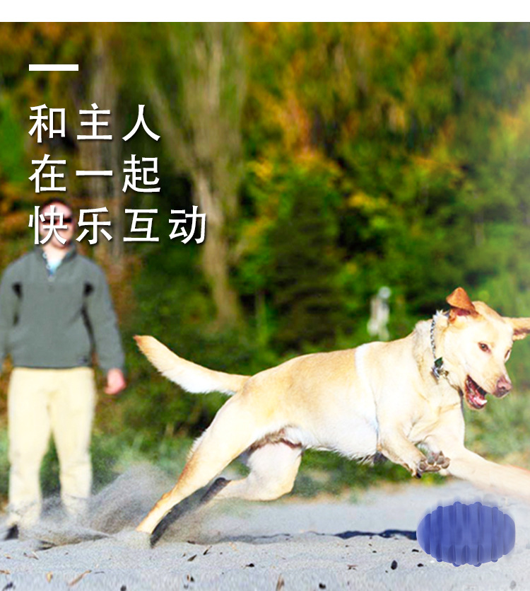 宠物玩具2020新款 橡胶狗咬玩具球 训狗磨牙耐咬发声狗狗玩具批发