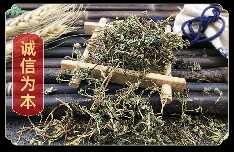 Dried Centipeda Herb E Bu Shi Cao Whole Dried Herb Traditional TCM Botanical Ingredient in use