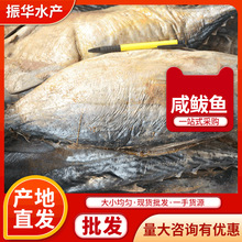 供應香醇咸鮁魚 海鮮干制水產品咸鮁魚干批發