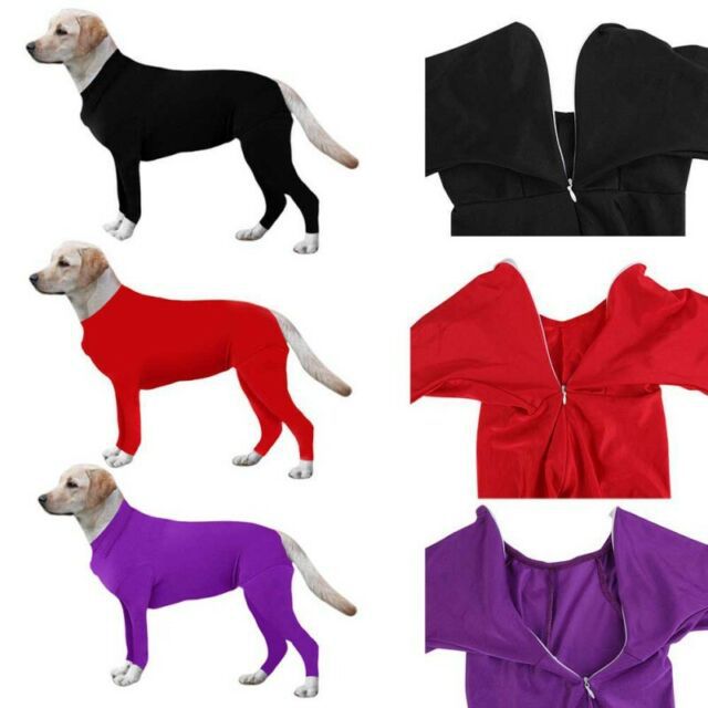 Casual Polyester Solid Color Pet Clothing display picture 6