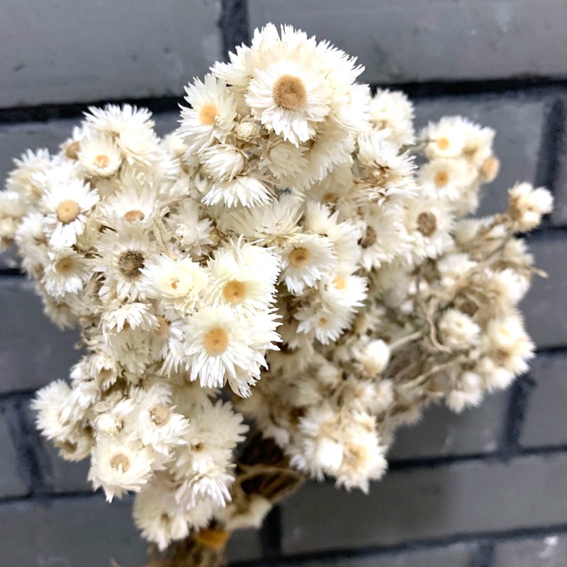 微信图片_20200911132127