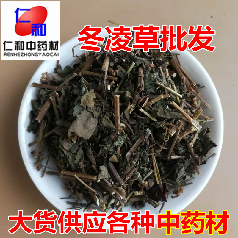Dried Rabdosia Rubescens Herb Dong Ling Cao Whole Herb for Herbal Tea and Decoction 500g overview