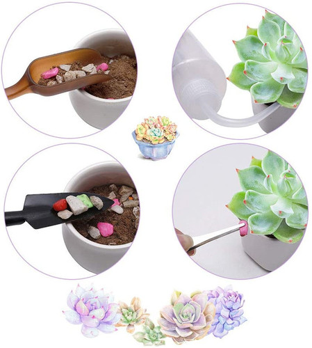 Succulent tool set combination plant and flower growing supplies gardening tool set succulent maintenance and planting succulent tools