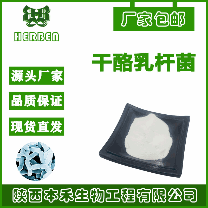 干酪乳杆菌200亿cfu/g 益生菌冻干粉 高活性 规格100-5000亿cfu/g