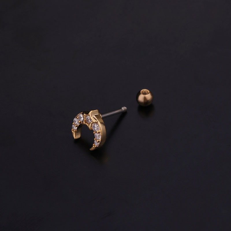 Ear Cartilage Rings & Studs Flower 316 Stainless Steel  Copper Inlaid Zircon display picture 9