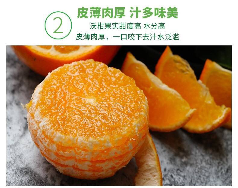 6 - 副本.jpg